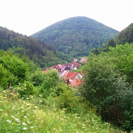 Einfamilienhaus In Zorge, Cleaning Included Zorge
